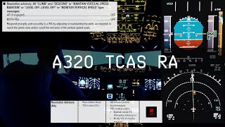 A320 TCAS Resolution Advisory RA [upl. by Asle]