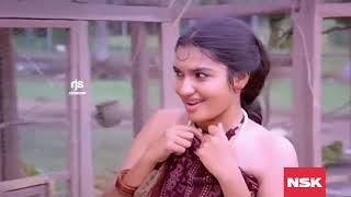 Chinna Kili Vanna Kili Bit Remastered  Chinna Gounder 1991  S P Balasubramaniam S Janaki [upl. by Adamis]