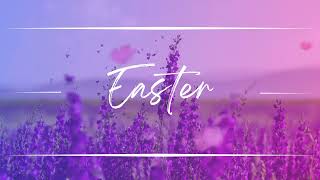 EASTER  Spring Butterfly Series  Motion Background Loop [upl. by Leamaj]