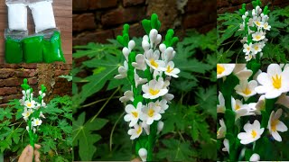 ভাইরাল ক্লে দিয়ে রজনীগন্ধা ফুল বানানোMaking rasin gondha flower with clay🌿🌿craft ideasofmim [upl. by Nylatsyrc]