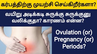 period stomach pain vs pregnancy stomach pain in tamil  stomach pain pregnancy tamil  pregnancy [upl. by Nnylaj]