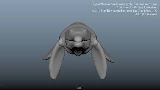 Plesiosaur Pliosaur swim animation by Max Hawthorne [upl. by Auqinihs]