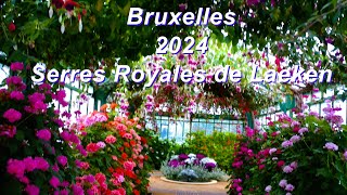 2024 Serres Royales de Laeken Bruxelles [upl. by Keithley]