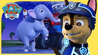 Mission PAW Sea Patrol and More ⚓️ PAW Patrol  Cartoons for Kids [upl. by Emmery601]