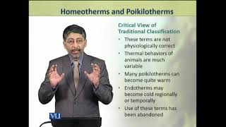 Homeotherms and Poikilotherms  Animal Physiology and Behavior Theory  ZOO502TTopic217 [upl. by Ahsikit339]