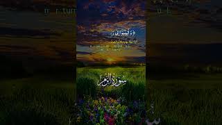 beautifulrecite alkareem beautifulrecitaion alquran [upl. by Mossolb365]