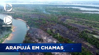 Incêndio em ilha no Xingu mobiliza Força Nacional e Bombeiros para conter as chamas [upl. by Ettelohcin]