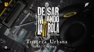 Desarmando La Rola  Tristeza Urbana  Mi Catrina [upl. by Rihana]