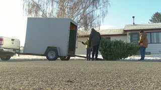 Helena Boy Scouts Christmas tree pickup benefits fish habitats [upl. by Lerrad]