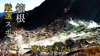 【箱根観光】絶景・パワースポットで癒される！仙石原、大涌谷、箱根三社を巡る旅 Hakone A Journey of Scenic Views and Spiritual Power Spots [upl. by Trinity]