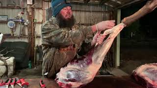 Cutting Elk with Aaron Whitefoot [upl. by Scarrow]