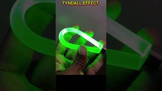 Tyndall effect experiment  tyndalleffect shortsfeed youtubeshorts [upl. by Llertnad]