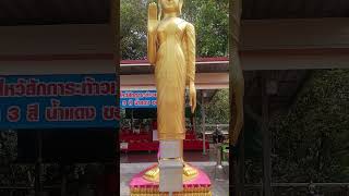 Golden Budhha thailand Bangkok pattaya travel [upl. by Madi]