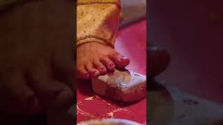 Ek ta chhi raja beti shortvideo trending trendingshorts shardasinhasong love wedding shorts [upl. by Tace547]