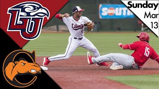 14 Liberty vs Campbell CONTROVERSIAL ENDINGHighlights  2022 College Baseball Highlights [upl. by Lewanna]