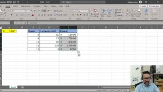 Level 2 Excel Lesson 1 [upl. by Marci]