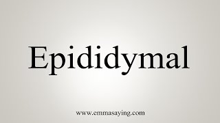 How To Say Epididymal [upl. by Nwahsan]