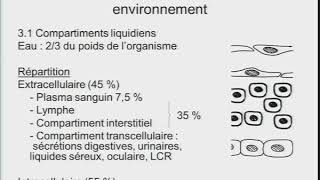 6 Homéostasie du milieu intérieur [upl. by Britte369]