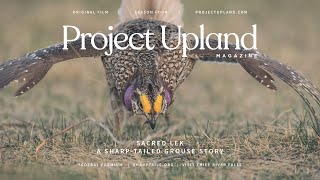 Sharptailed Grouse Lekking  Sacred Lek  A Project Upland Original Film [upl. by Schlosser]