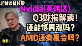 Nvidia英伟达 如何看待其2024年3季度的财报 AI泡沫要破灭了吗？AMD还有机会赶上英伟达吗？（老科谈科技股第241期） [upl. by Luapsemaj189]