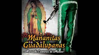 📀 Mañanitas Guadalupanas Disco Completo Mariachi Cantares De Mexico 📀 [upl. by Sabu]