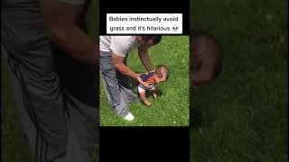 why do babies avoid touching grass [upl. by Jenei]