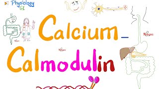 CalciumCalmodulin System  Second messengers  Physiology amp Biochemistry [upl. by Eybba916]