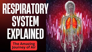 The RESPIRATORY SYSTEM explained Breath amp learn [upl. by Verena442]