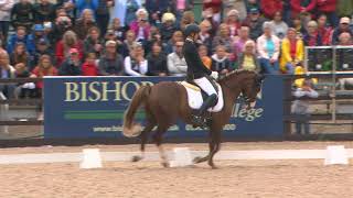 Moritz Treffinger GER Wins Freestyle Dressage to Music [upl. by Sheley]