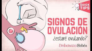 ¿Cómo saber si ESTOY OVULANDO 🤔👌 8 SÍNTOMAS de la ovulación [upl. by Plusch]