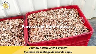 Fully Automatic Cashew Processing Plant by Parivartan Kaju House 91 95124 97976  91 95123 97976 [upl. by Sivad]