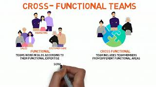 Crossfunctional teams [upl. by Acirretahs]