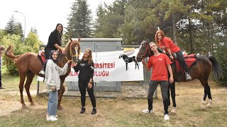 Hacettepe Üniversitesi Binicilik Topluluğunu Tanıyalım [upl. by Yedarb]