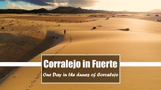 Fuerteventura Corralejo A full day in the dunes  Cinematic video  4K [upl. by Philo]