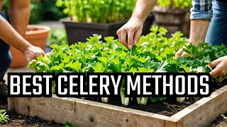 Top 10 Ways to Plant Celery [upl. by Shaun]