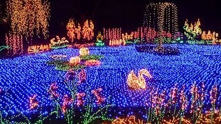 The Garden dLights Event at the Bellevue Botanical Garden [upl. by Itirp391]