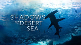 Shadows in a Desert Sea  HD [upl. by Othilie922]