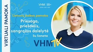 Virtuali lietuvių kalbos pamoka  Žodžio priesaga priešdėlis sangrąžos dalelytė [upl. by Thebault]