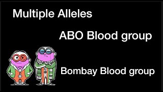 ABO blood group Bombay Blood Phenotype and Multiple Alleles [upl. by Oitaroh655]