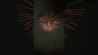 ALFA ROCKETS von Iskra Line 🚀polenböller feuerwerk pyropowerpolen fireworks💥 pyrotechnik [upl. by Nonah]