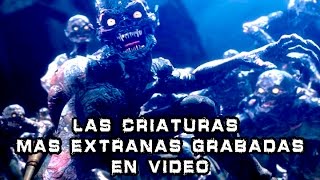 Criaturas Aterradoras Grabadas en Video 1 I Pasillo Infinito [upl. by Anileh]