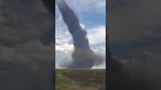 Tornado NE of Stettler Alberta on May 31 2023 [upl. by Stanislas]