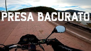 Presa Bacurato S02E04 vanny [upl. by Ayiotal]