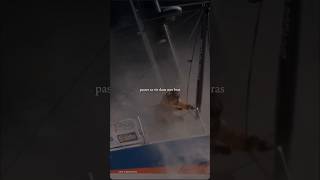 Vendée Globe [upl. by Grimbly603]