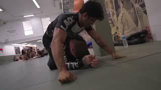 Fabricio Andrey And Hoanes Nacib Scrap In ADCC Training [upl. by Noiz]