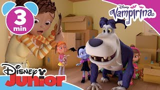 Costumul de vârcolac al lui Wolfie  Vampirina  Disney Junior [upl. by Fishman55]