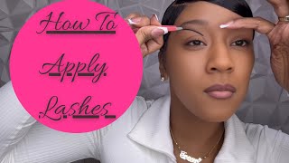 How To Apply False Lashes  For Beginners [upl. by Hsilgne]