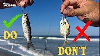 EPIC Surf fishing Method w LIVE Bait  Do’s and Don’ts to Catch MORE Fish  Top Beach Fishing Tips [upl. by Salvatore]