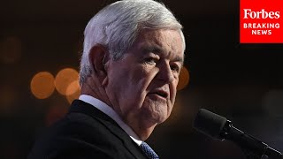 Newt Gingrich Tells The RNC This Is The Greatest Threat To American Safety [upl. by Nerrak]