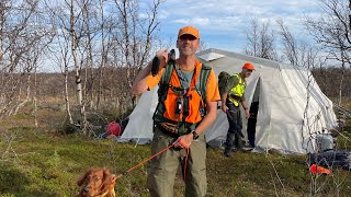 Finnmark 2024 Rypejakt og natur 5 menn og 4 hunder på tur fra 10 Sept [upl. by Alekal]